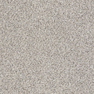 TAKE THE FLOOR ACCENT II